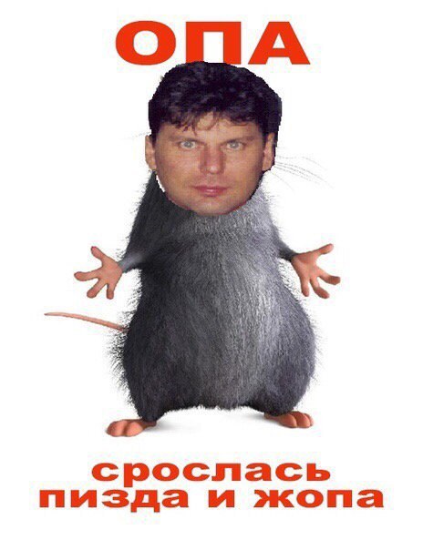 срослась пизда и жопа