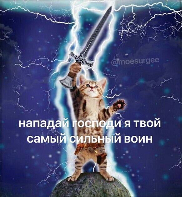ОЩИ Я ТВОИ самы ЛЬН 1И ВОИН