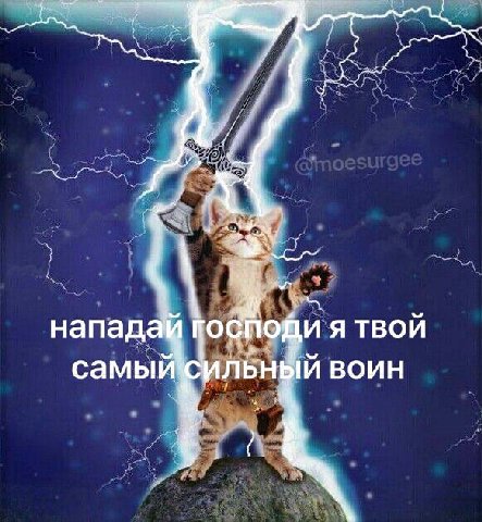 ОЩИ Я ТВОИ самы ЛЬН 1И ВОИН