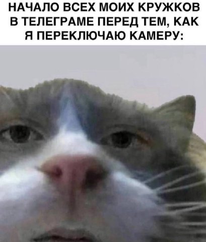 НАЧАЛО ВСЕХ МОИХ КРУЖКОВ В ТЕЛЕГРАМЕ ПЕРЕД ТЕМ, КАК Я ПЕРЕКЛЮЧАЮ КАМЕРУ: