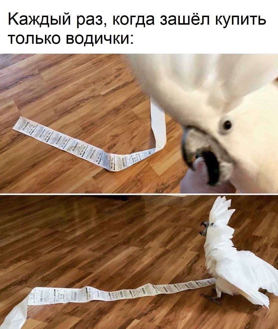 Каждый раз, когда зашёл купить ТОЛЬКО 774 if у