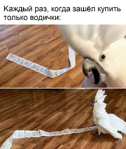 Каждый раз, когда зашёл купить ТОЛЬКО 774 if у