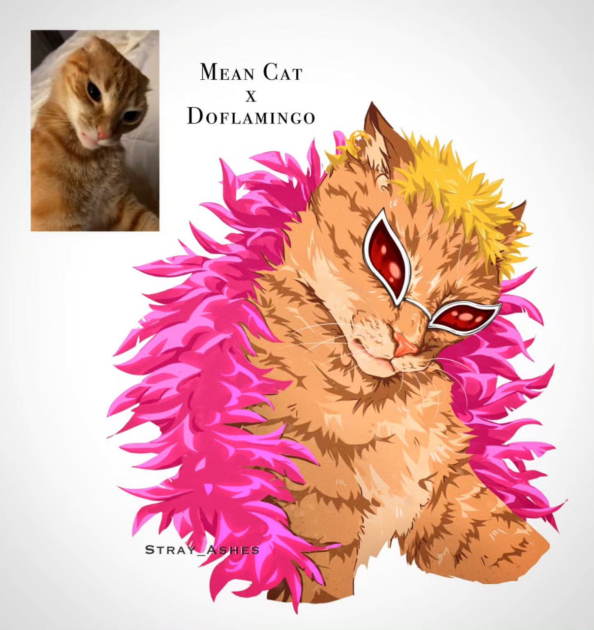 MEAN Cat DoFLAMINGO Vigan 1 4 7 i и “A