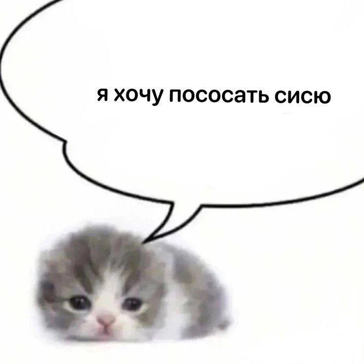 я хочу пососать сисю