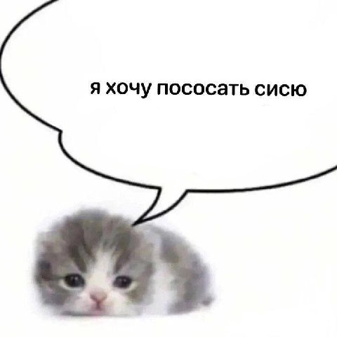 я хочу пососать сисю