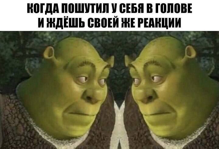КОГДА ПОШУТИЛ У СЕБЯ В ГОЛОВЕ И ЖДЕШЬ СВОЕЙ ЖЕ РЕАКЦИИ