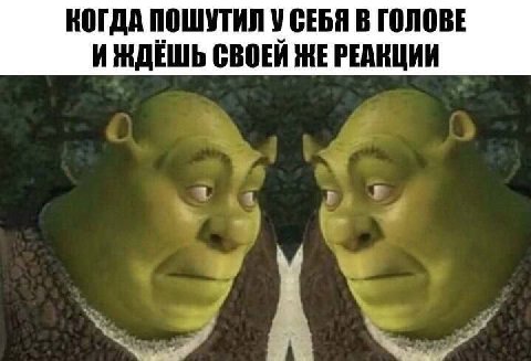 КОГДА ПОШУТИЛ У СЕБЯ В ГОЛОВЕ И ЖДЕШЬ СВОЕЙ ЖЕ РЕАКЦИИ
