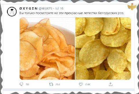 @skipt2s Jul 16 только посмотрите на эти прекрасные лепестки белорусских роз. 4 10 253