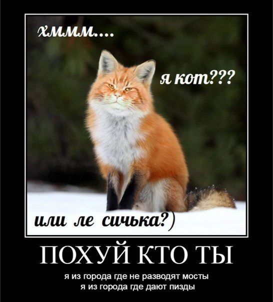 якот??? или, сичька? ПОХУЙ КТО ТЫ я из города где не разводят мосты я из города где дают пизды