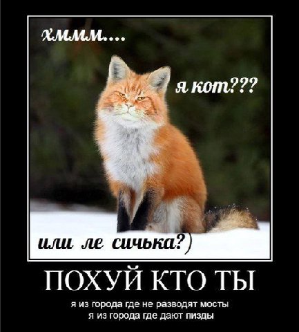 якот??? или, сичька? ПОХУЙ КТО ТЫ я из города где не разводят мосты я из города где дают пизды