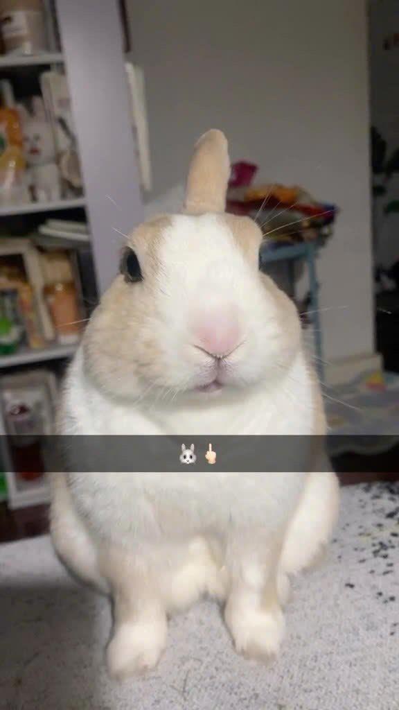4 i