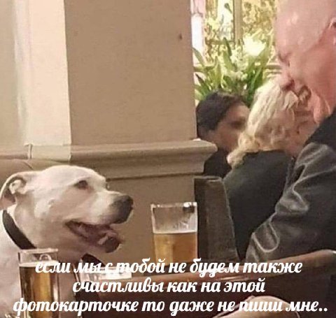 He дудем также как на этои фотдкарточке то даже не