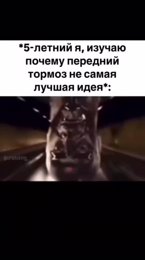 *5-летний я, изучаю почему передний тормоз не самая лучшая идея*: