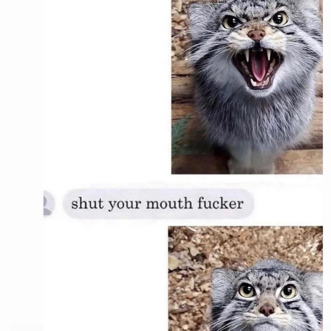 к 2 wll shut your mouth fucker a