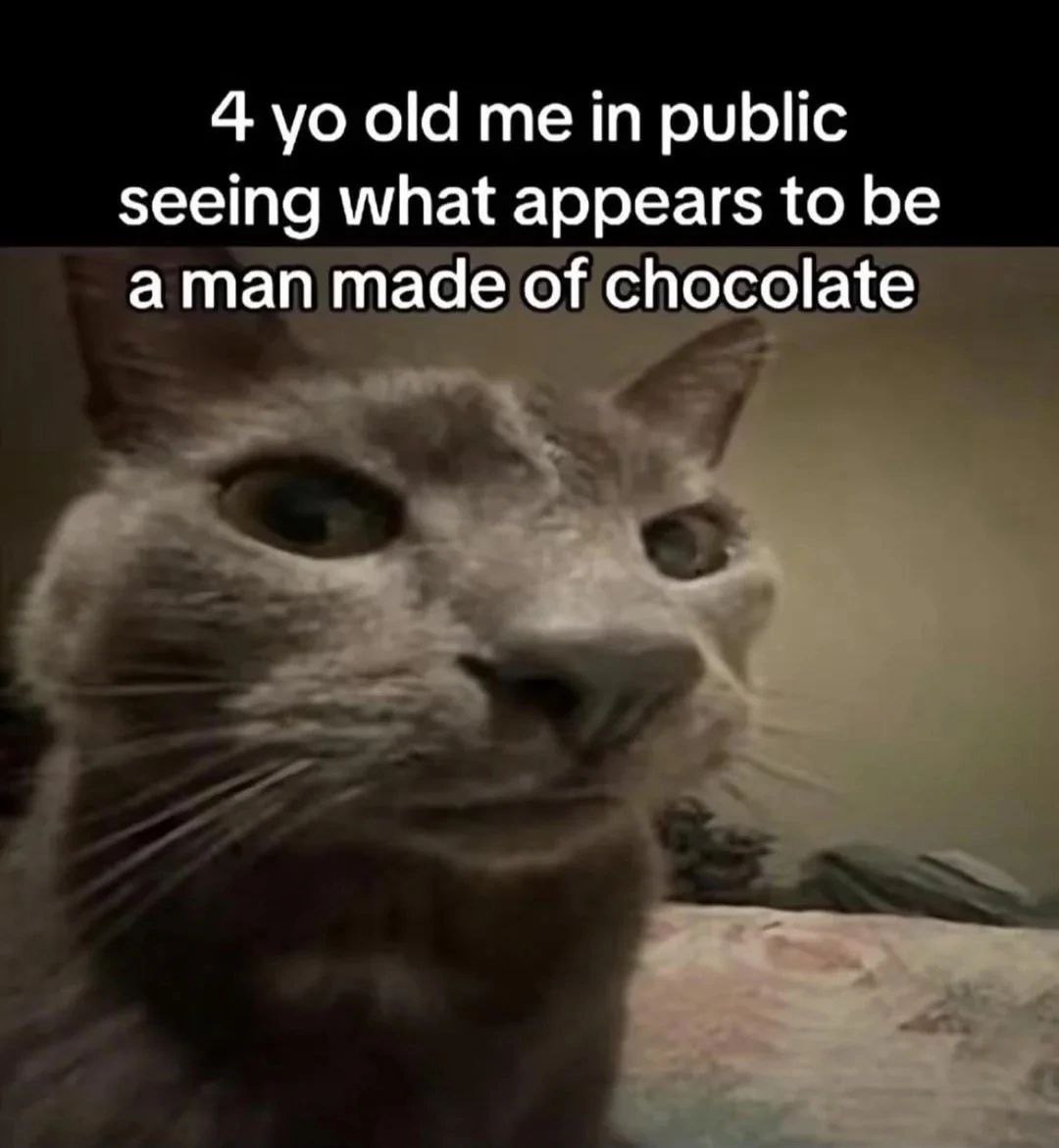 4 old me in public seeing what appears to be aman made of chocolate