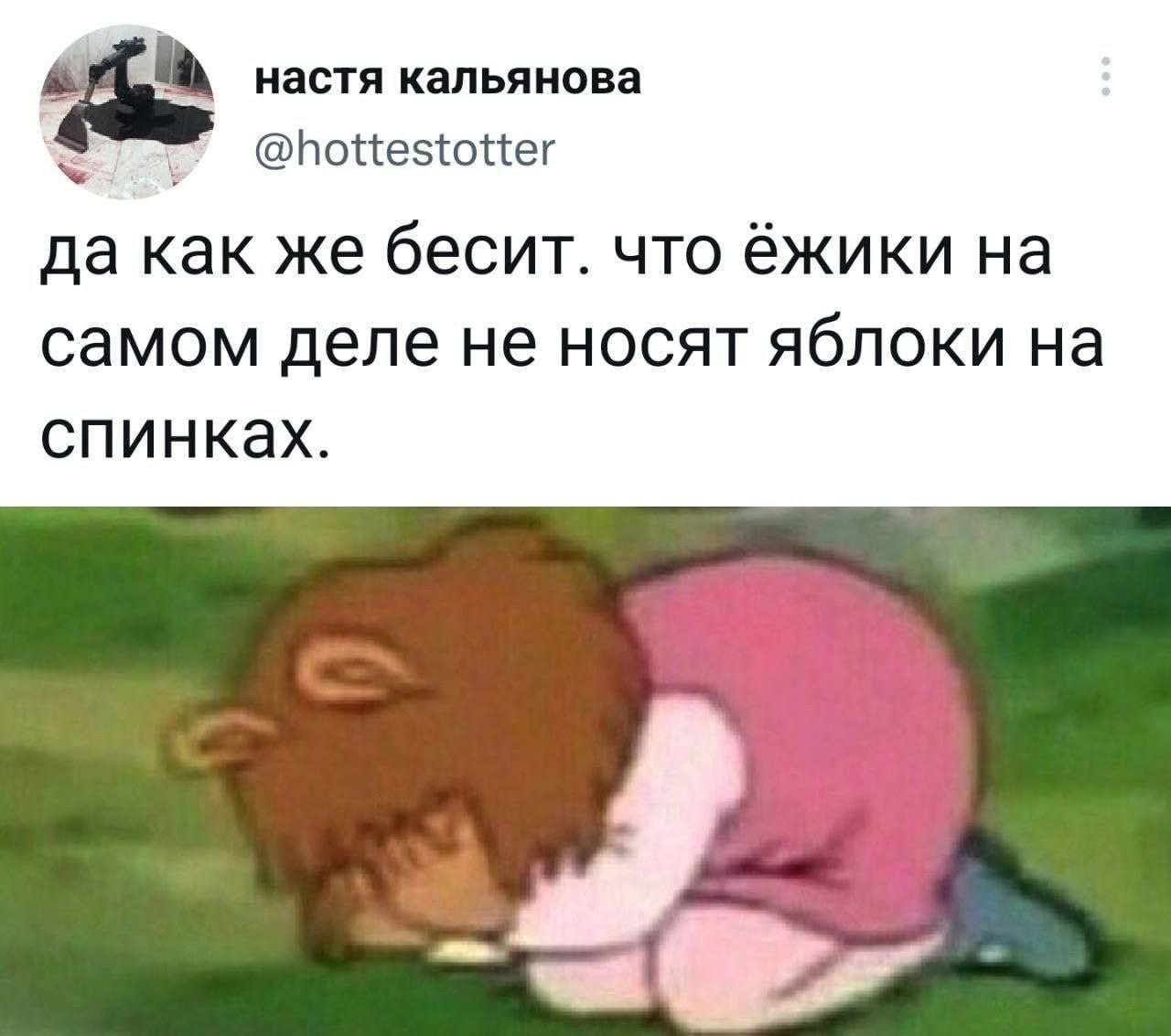 настя кальянова @hottestotter да как же бесит. что ёжики самом деле не носят яблоки на спинках.