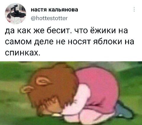 настя кальянова @hottestotter да как же бесит. что ёжики самом деле не носят яблоки на спинках.