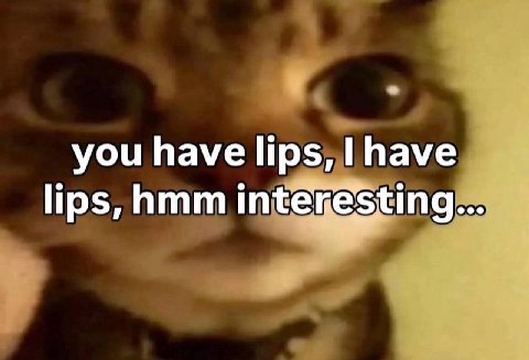 you have have lips,