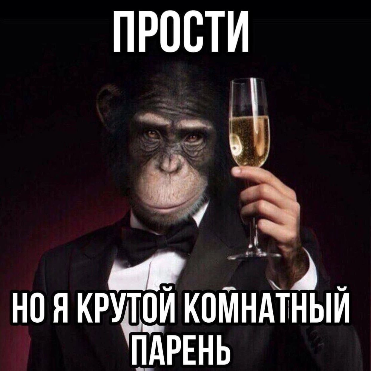 ПРОСТИ НОЯ КРУТОИ КОМНАТНЫЙИ ПАРЕНЬ