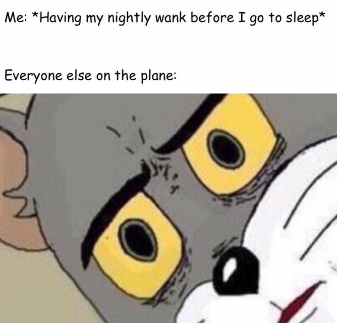 *Having my nightly wank before I до to sleep* Everyone else on the plane: и