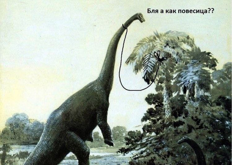 Бля а как повесица?? 14 #7 4