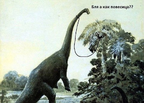 Бля а как повесица?? 14 #7 4