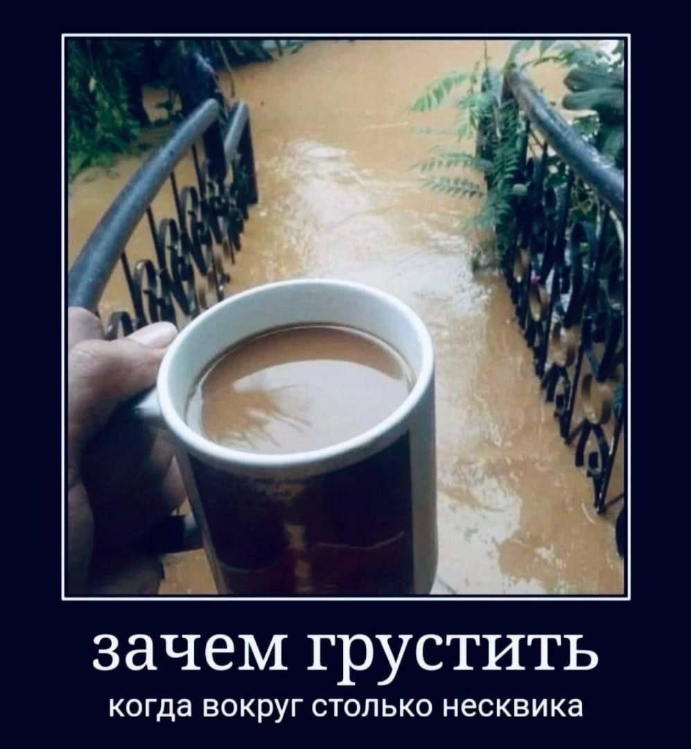 зачем грустить когда вокруг столько несквика