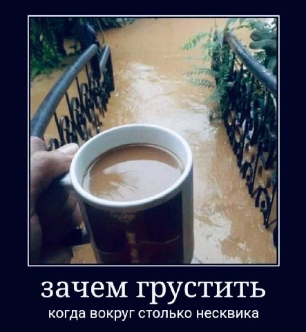 зачем грустить когда вокруг столько несквика