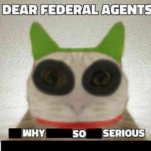 FEDERAL AGENTS SO SERIOUS