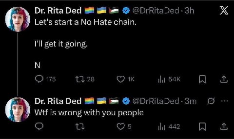 RitaDed 9 Let's start a No Hate chain. get it going. RitaDed is wrong with you people