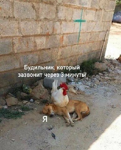 Будильник, который зазвонит через 3 минуты