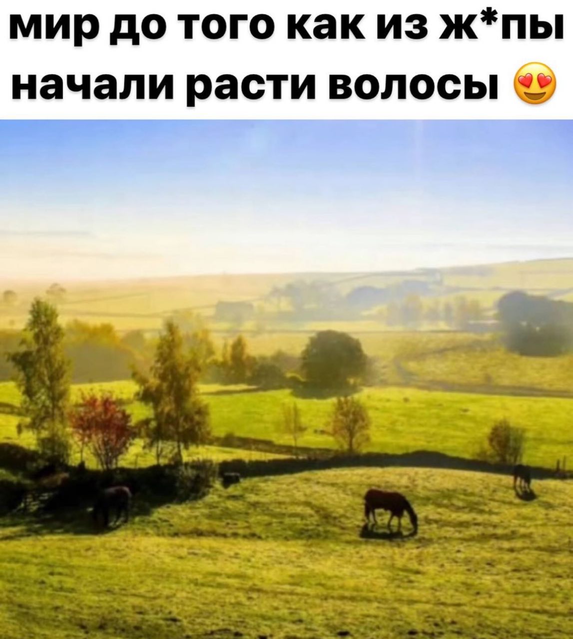 мир до того как из ж*пы начали расти волосы I