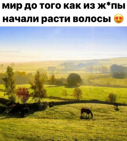 мир до того как из ж*пы начали расти волосы I