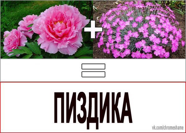 per ПИЗДИКА vk.com/chromeshame