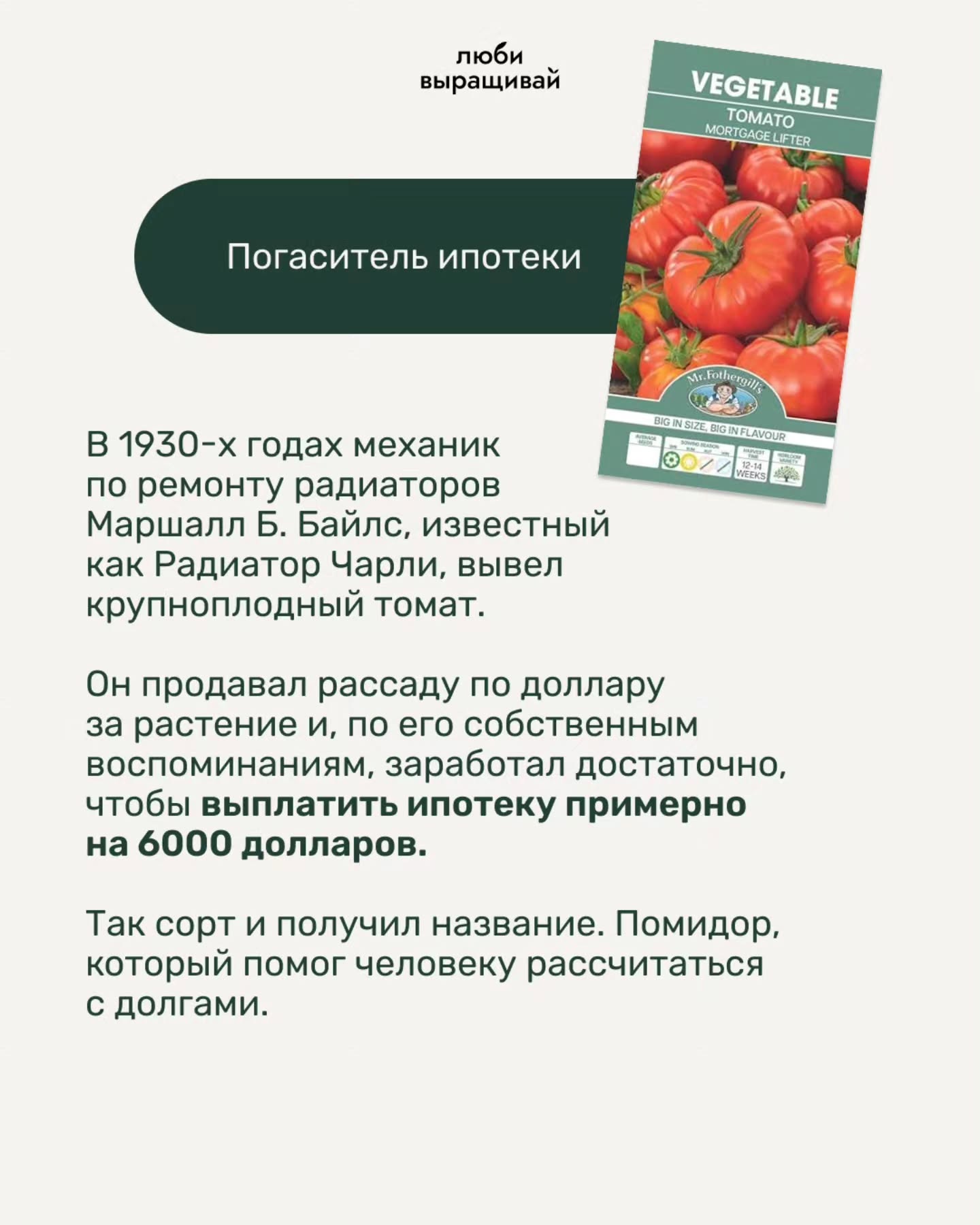 люби выращивай LIFTER at Погаситель ипотеки В годах механик по ремонту радиаторов Маршалл Б. Байлс, известный как Радиатор Чарли, вывел крупноплодный томат. Он продавал рассаду по доллару за растение 
