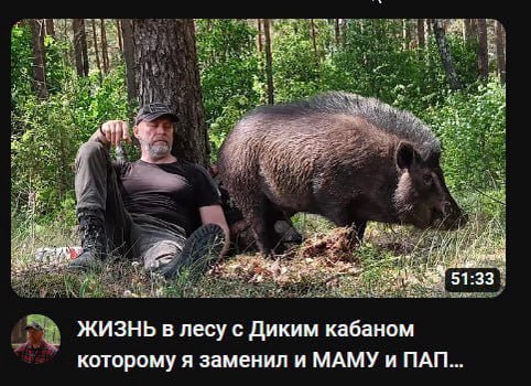 51:33 ЖИЗНЬ в лесу с Диким кабаном которому я заменил и МАМУ и ПАП...