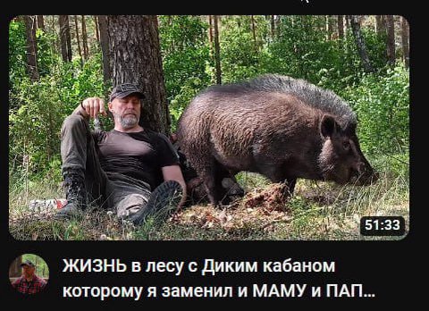 51:33 ЖИЗНЬ в лесу с Диким кабаном которому я заменил и МАМУ и ПАП...