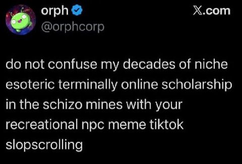 orph Х.сот not confuse my decades of niche esoteric terminally online scholarship in the schizo mines with your recreational noc meme tiktok slopscrolling