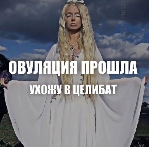 ОВУЛЯЦИЯ ПРОШЛА В ЦЕЛИБАТ