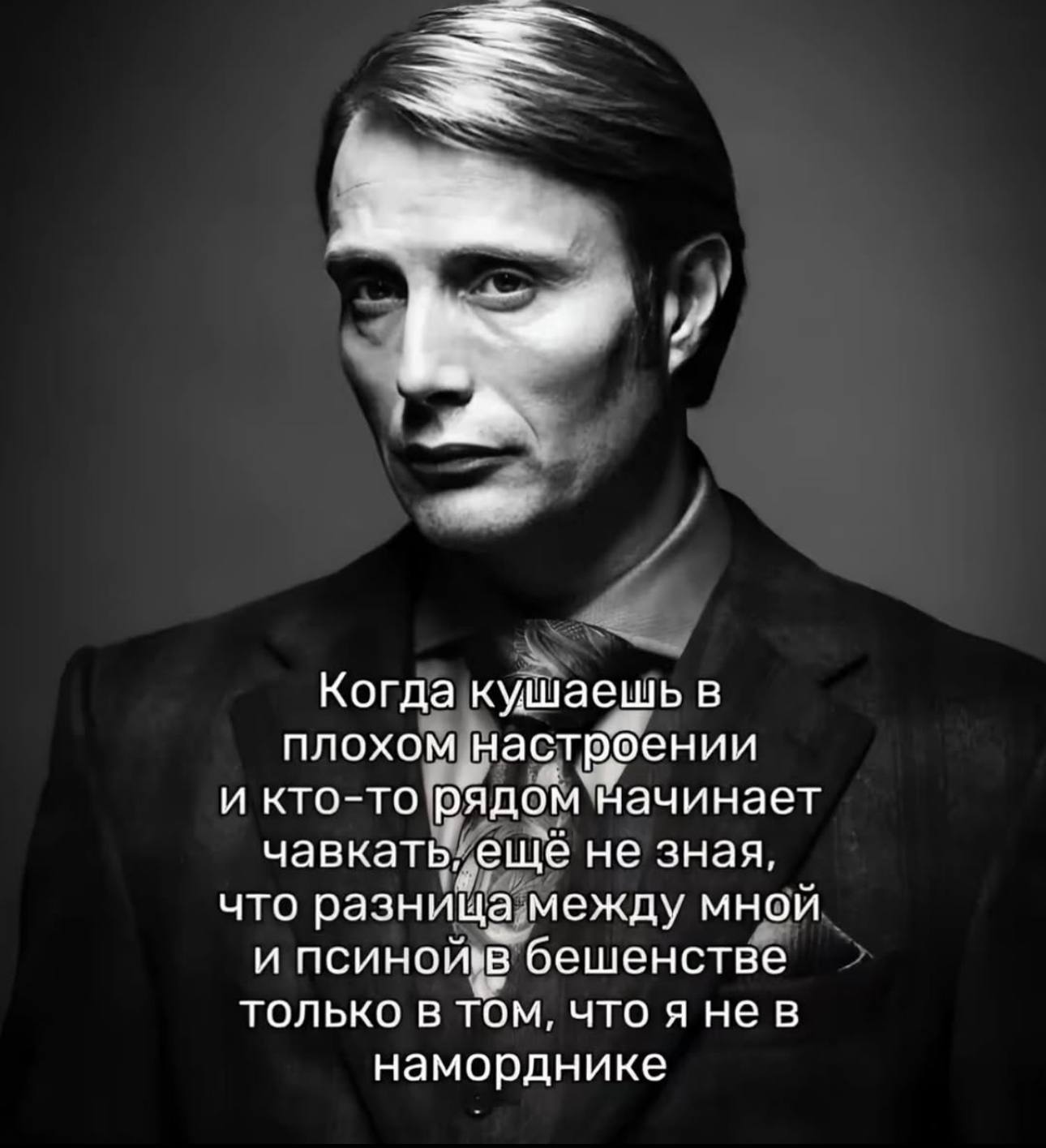 Когда кушаешь в плохом настроении и кто-то рядом начинает чавкать, еще не зная, что разница между мной и бешенстве только в том, что я HEB наморднике