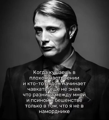 Когда кушаешь в плохом настроении и кто-то рядом начинает чавкать, еще не зная, что разница между мной и бешенстве только в том, что я HEB наморднике