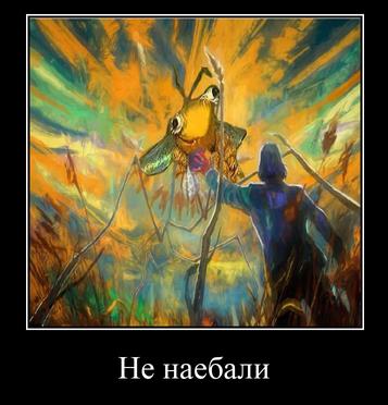 Не наебали