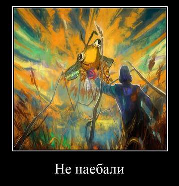 Не наебали