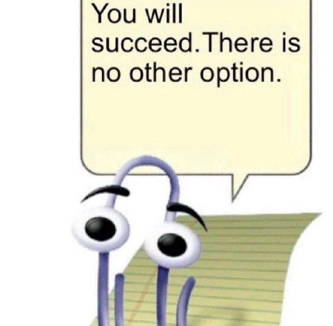 You will succeed. There is no other option.