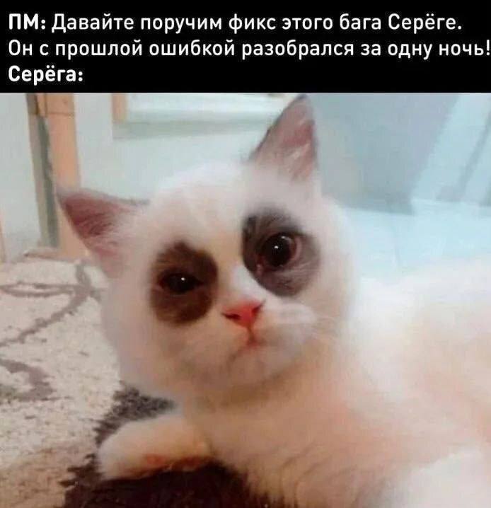 serega v voprose