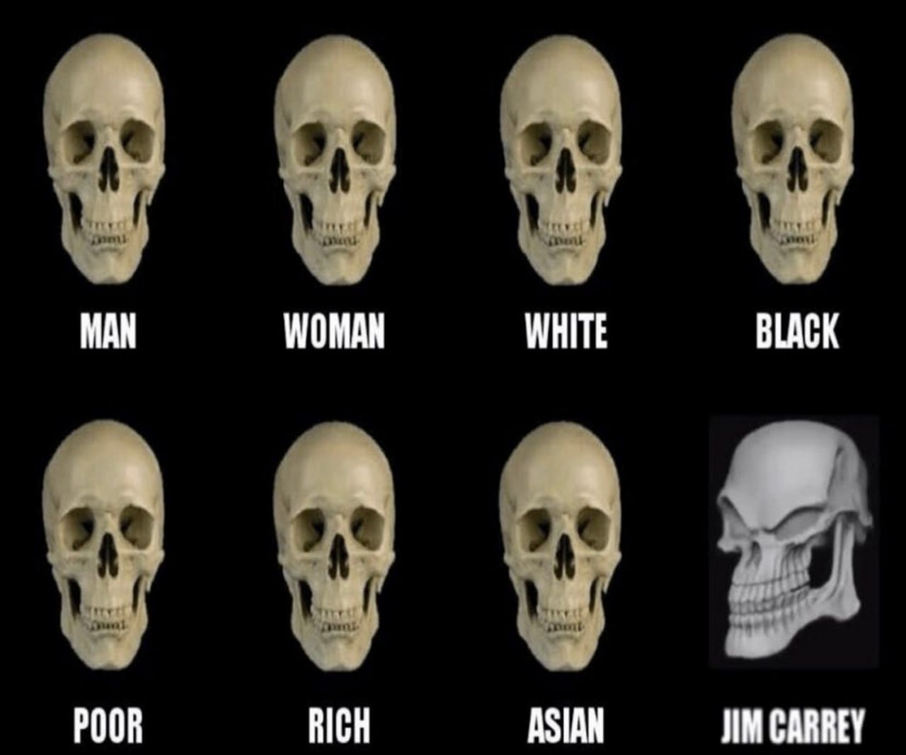 МАН WOMAN WHITE BLACK POOR RICH ASIAN JIM CARREY
