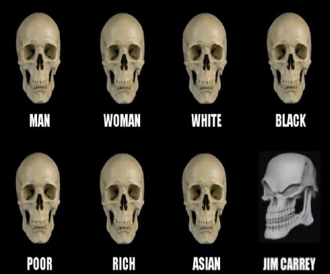 МАН WOMAN WHITE BLACK POOR RICH ASIAN JIM CARREY