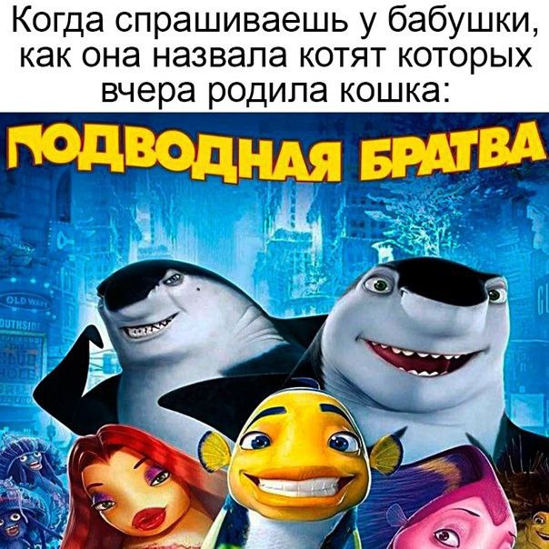Когда спрашиваешь у бабушки, как она назвала котят которых вчера родила кошка: БРАТВА 5 ABE