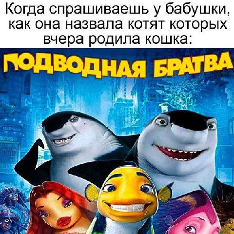 Когда спрашиваешь у бабушки, как она назвала котят которых вчера родила кошка: БРАТВА 5 ABE