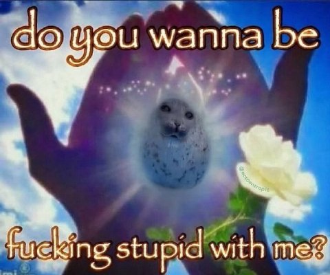 wanna be ing stupid with meg